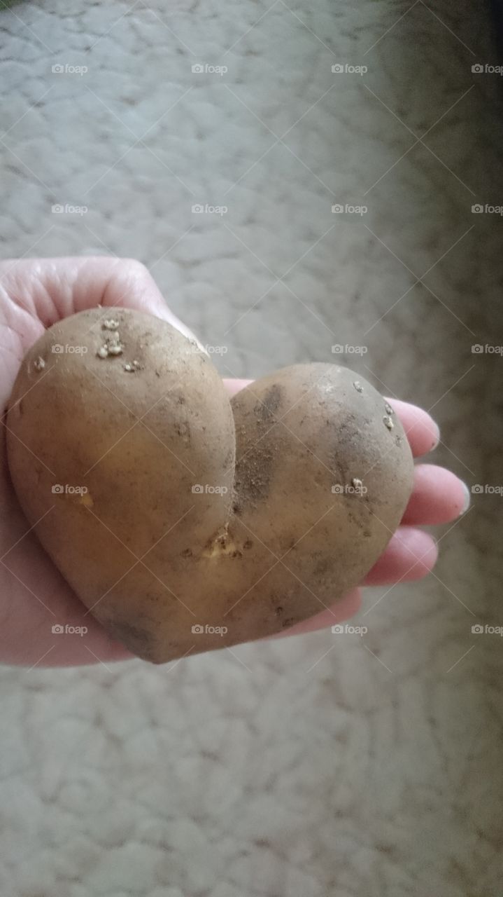 I have a patato for a heart...