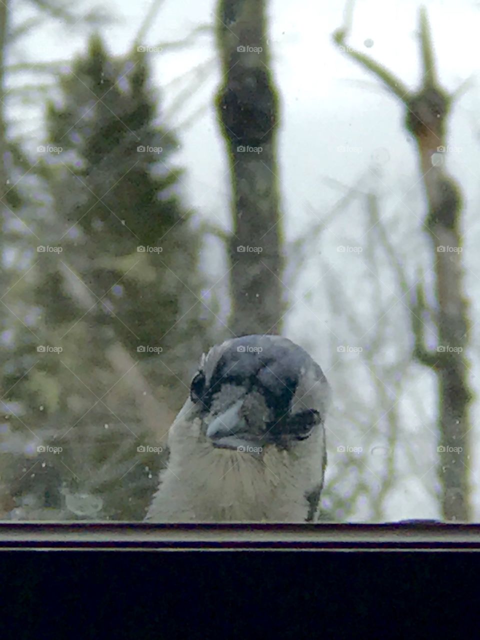 Hello, got any more popcorn?