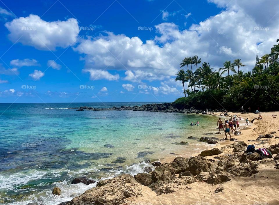 Laniakea Beach