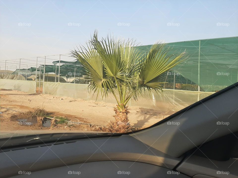 Please make me happy, I am poor, I need your help with support