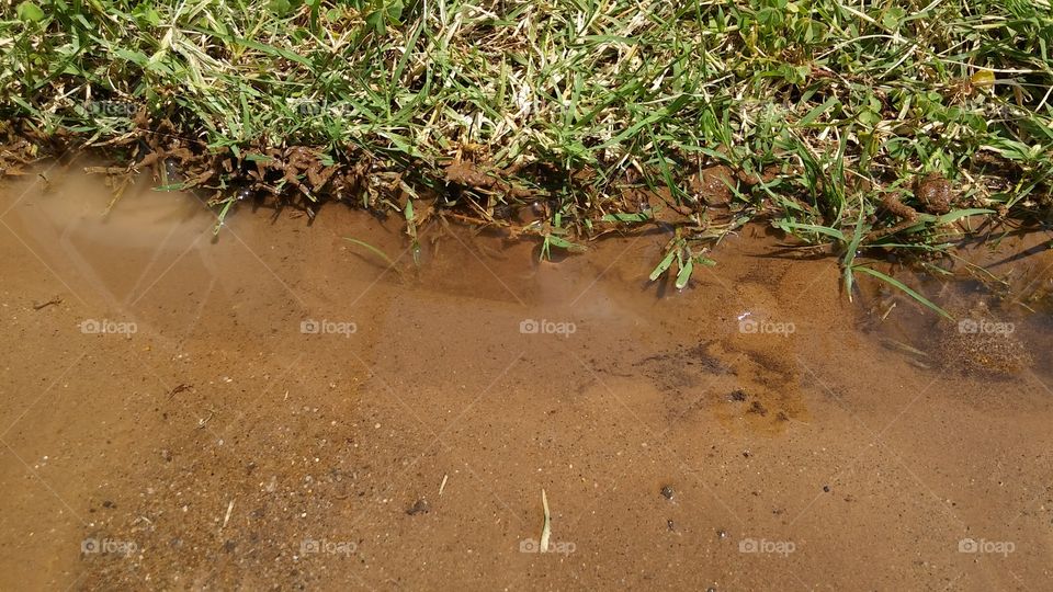 water leak concrete grass
