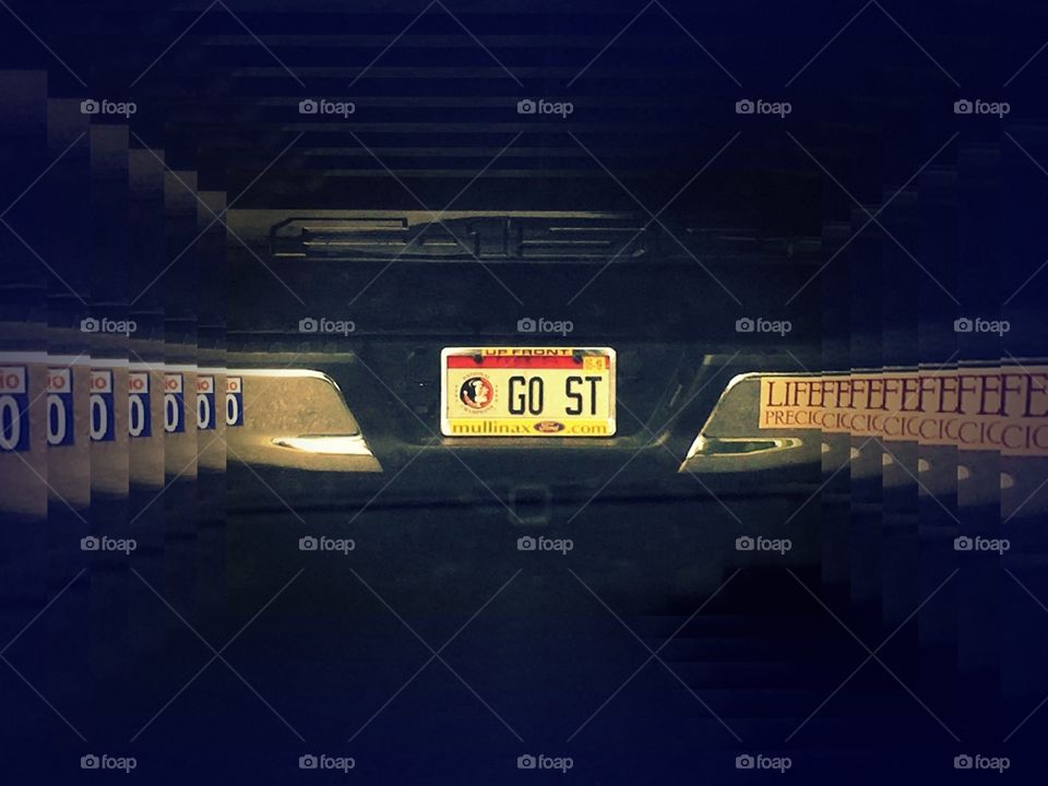 Unique Florida license plate collection GO ST