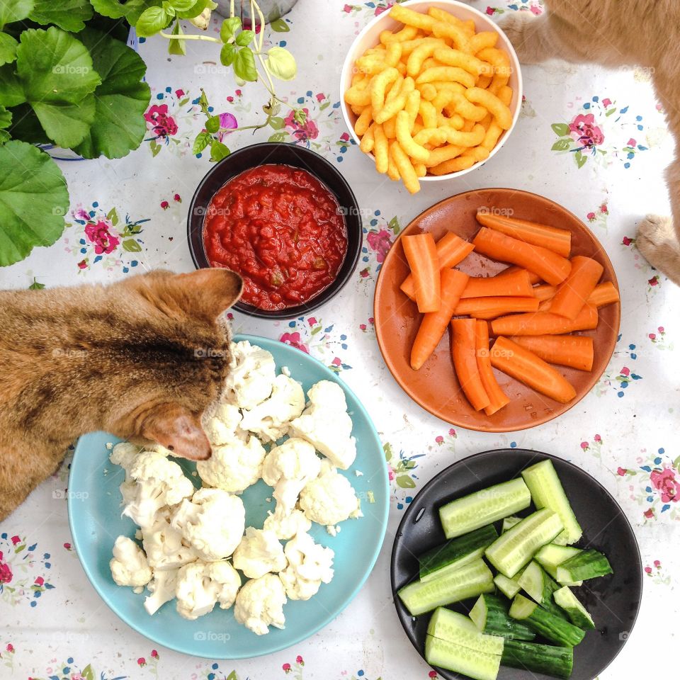 healthy snacks and cats