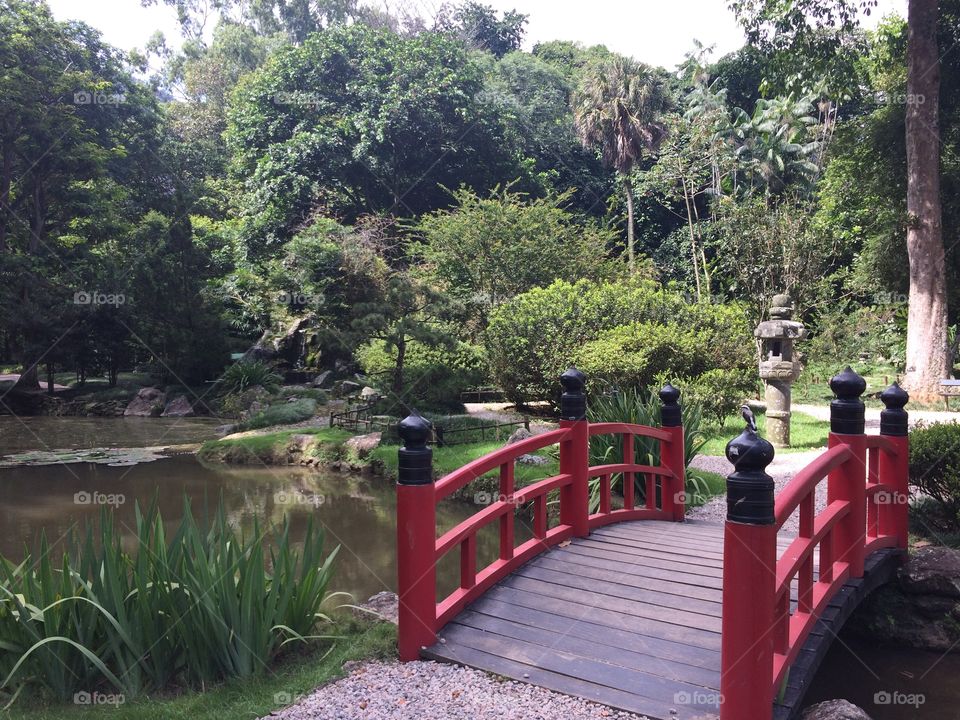 Jardim Japonês 