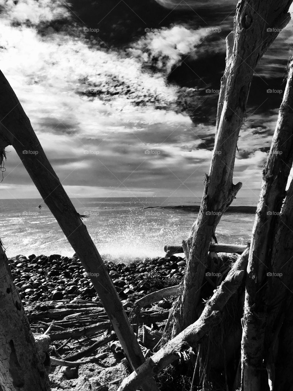 Driftwood, Sand &  Serenity 