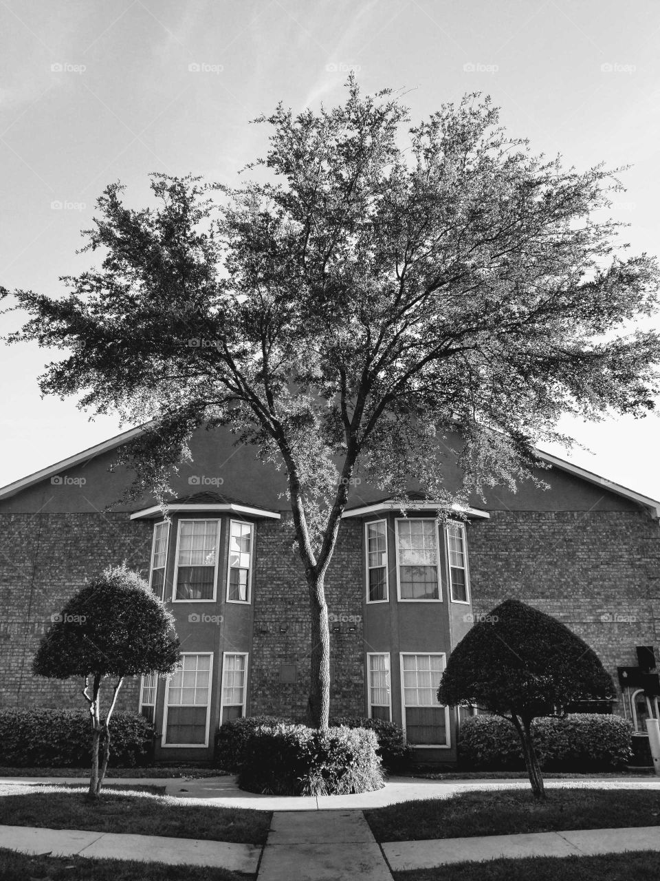 Bay windows at Country Place Apartments, black and white