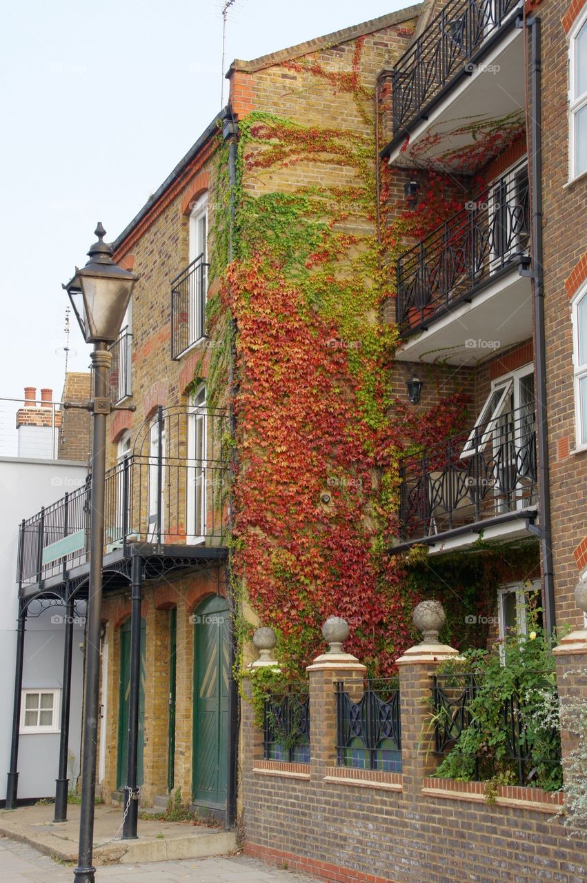 Buildings along the Thames in London England