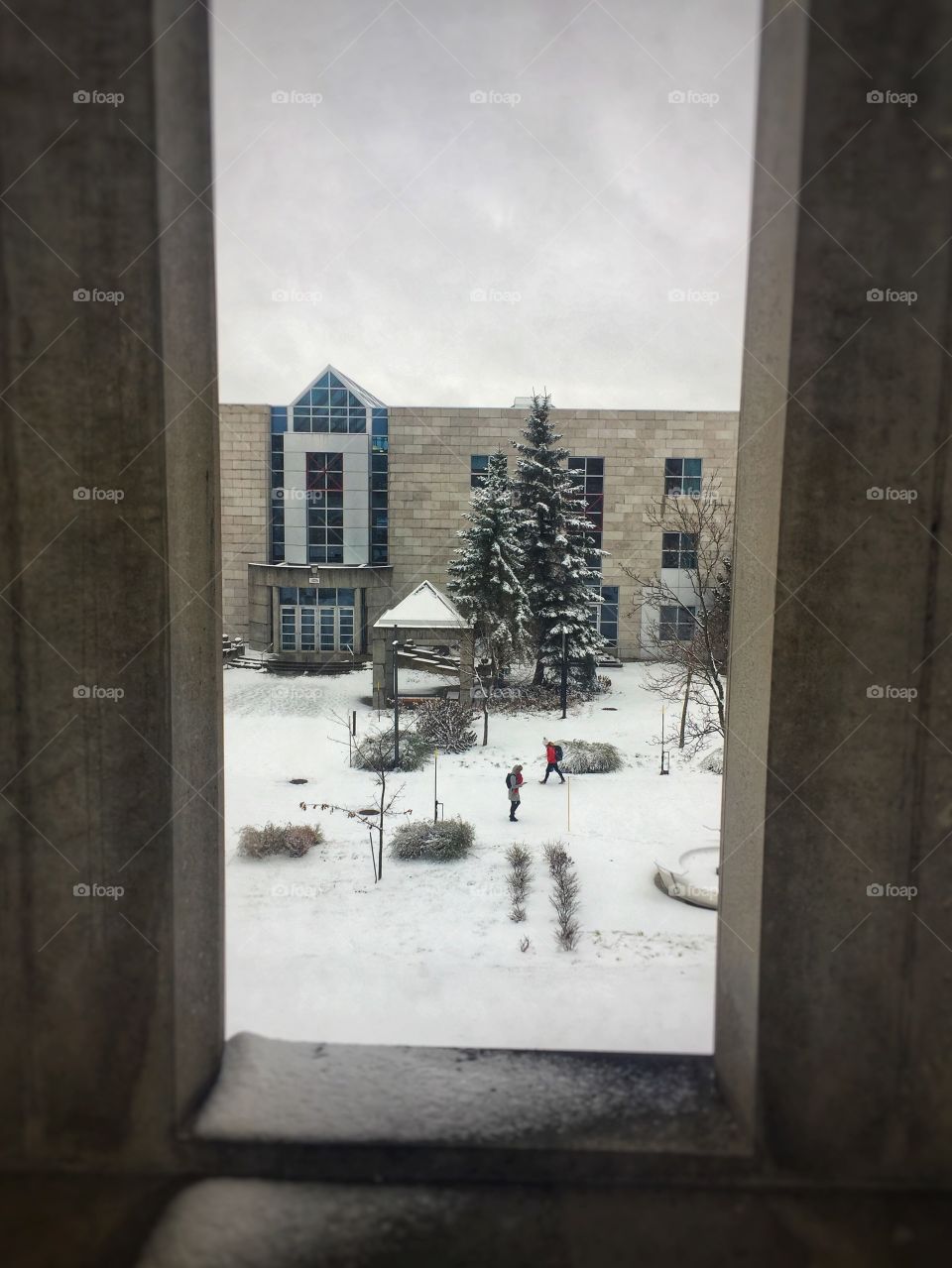 University in winter 