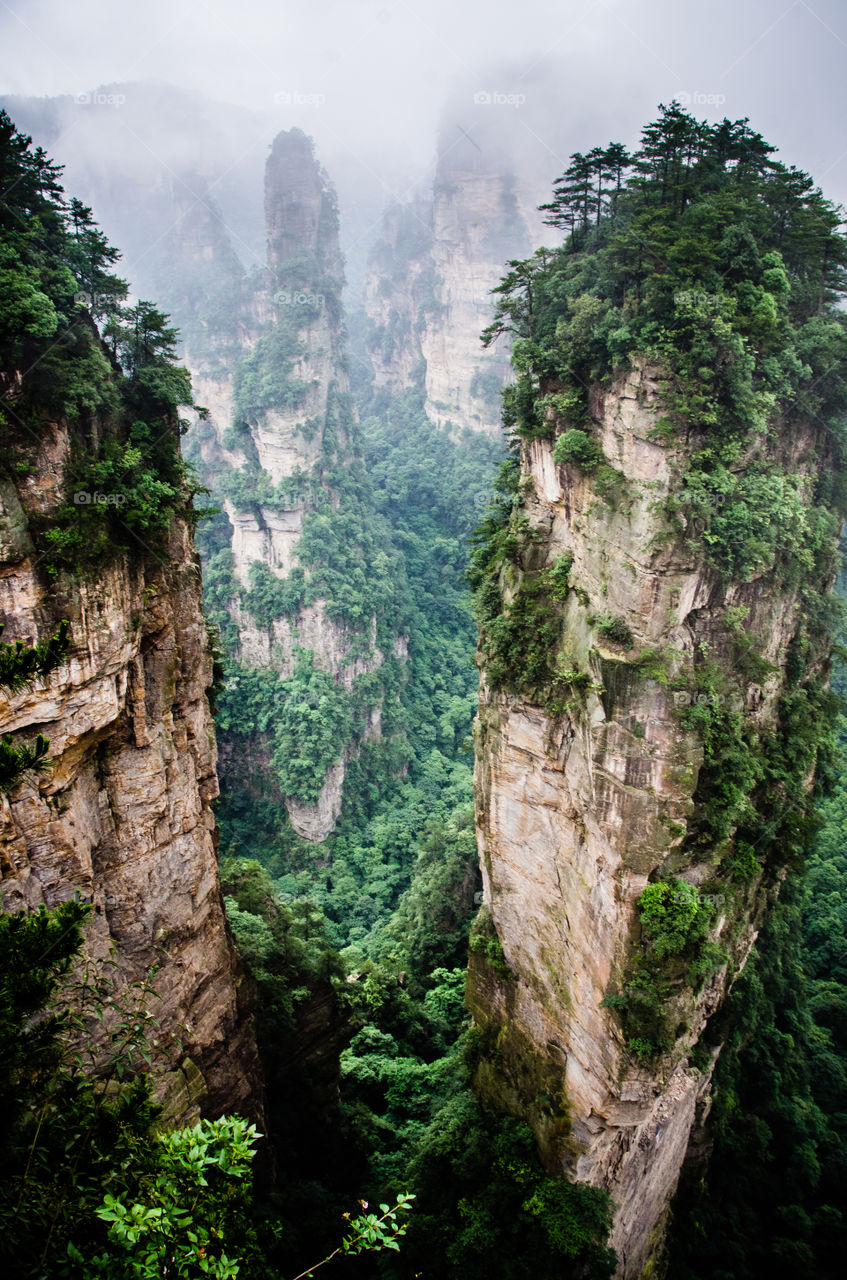 Zhangjiajie forest, china