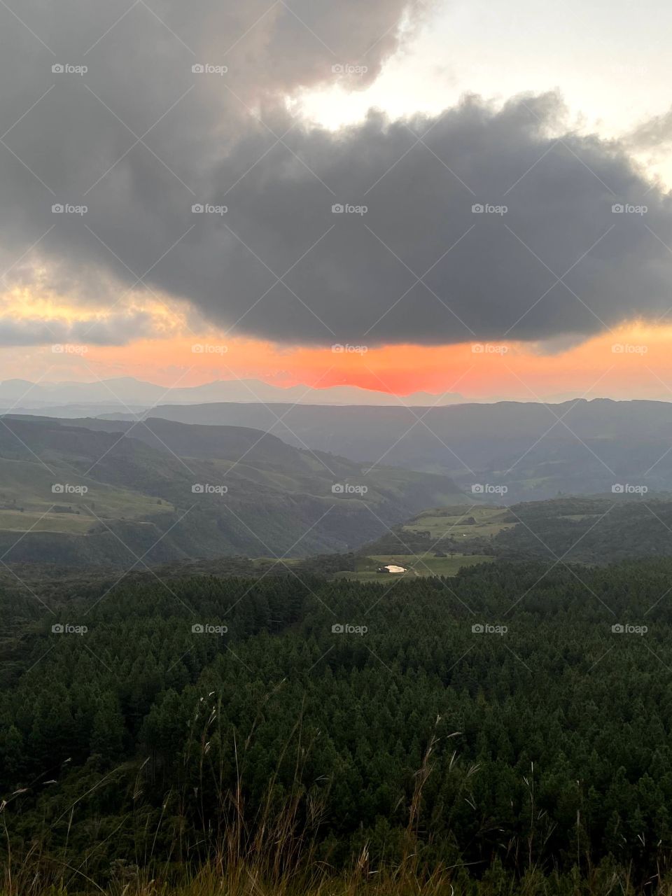 Paths that transmit peace.