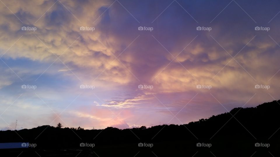 Clam after the storm.