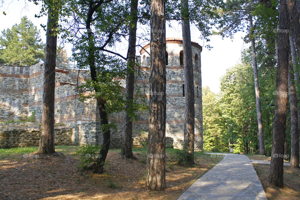 A castle in the wood