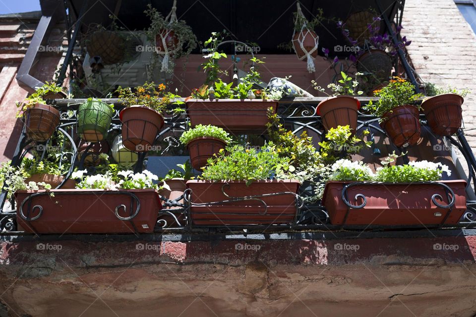 Old retro balcony with flowers , low angle view