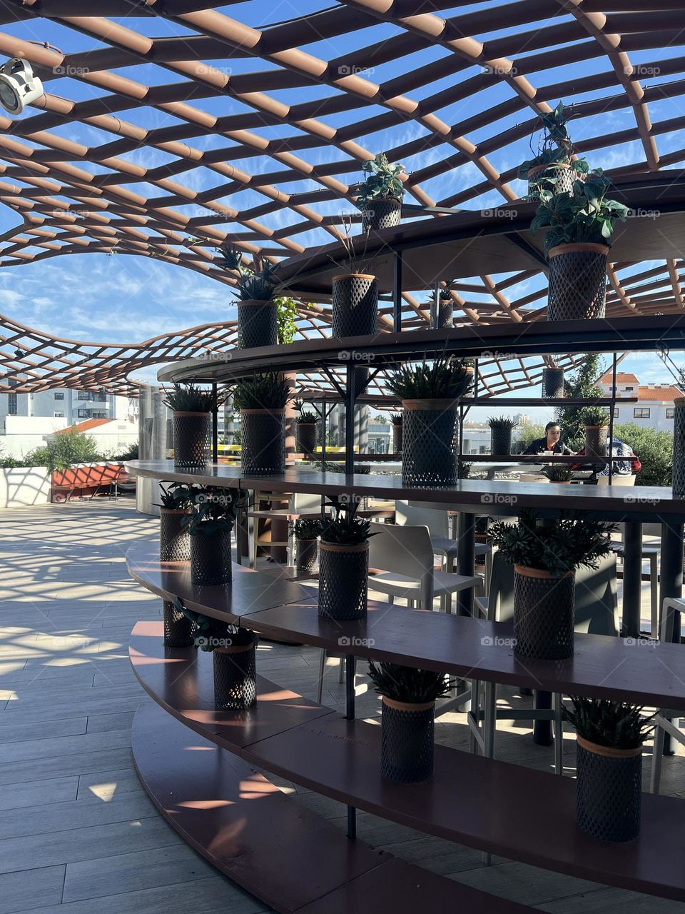 Plant in the terrace 