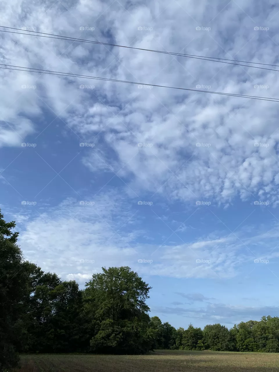 Beautiful day 