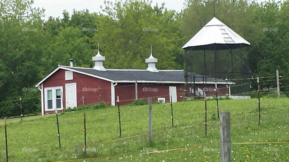 Barns. Barn on a Farm 