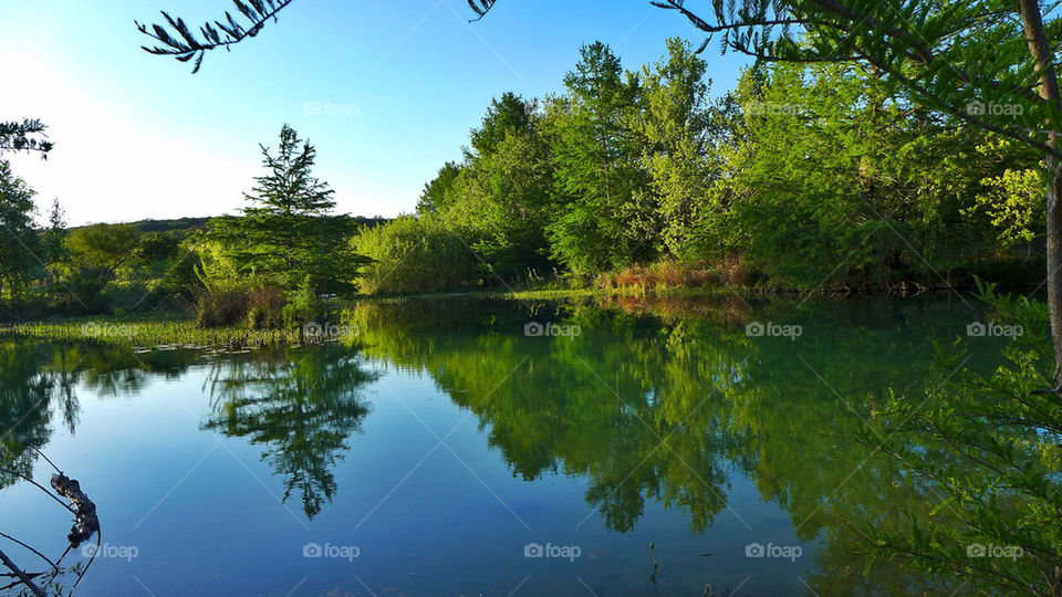 Trees reflected in river