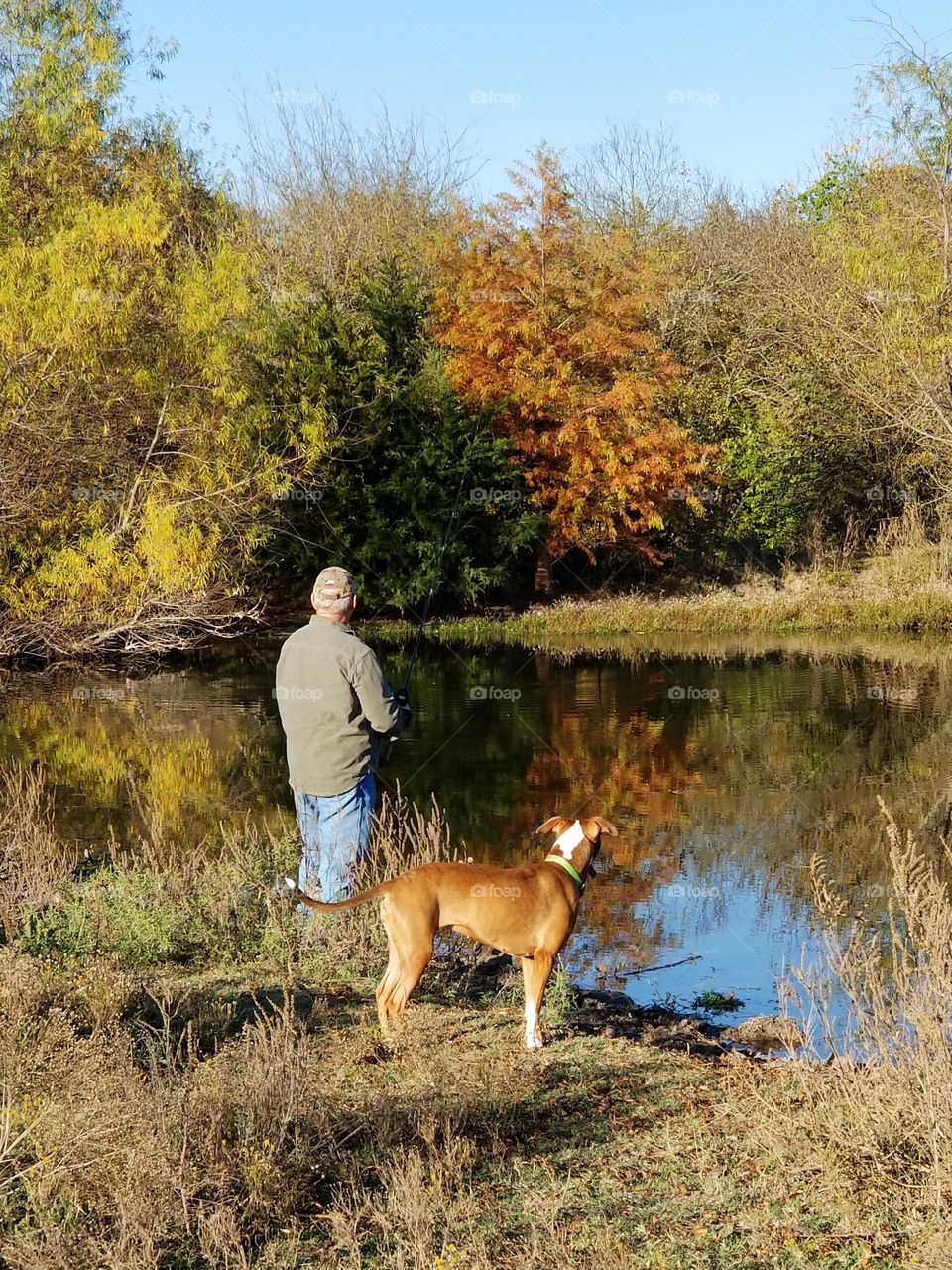 Man Fishing in a pond reflecting Fall leaves while his dog looks on