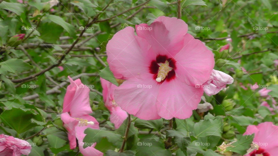 Add some spring in your step!