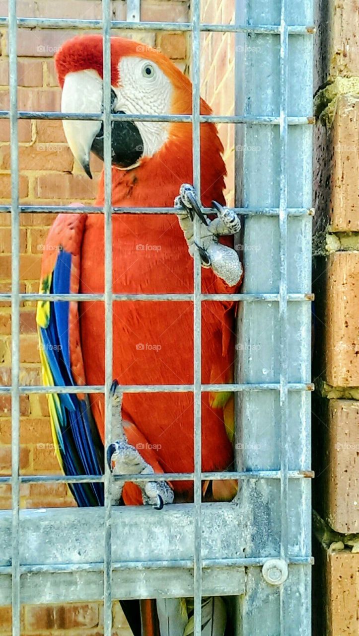 Can I come out & play