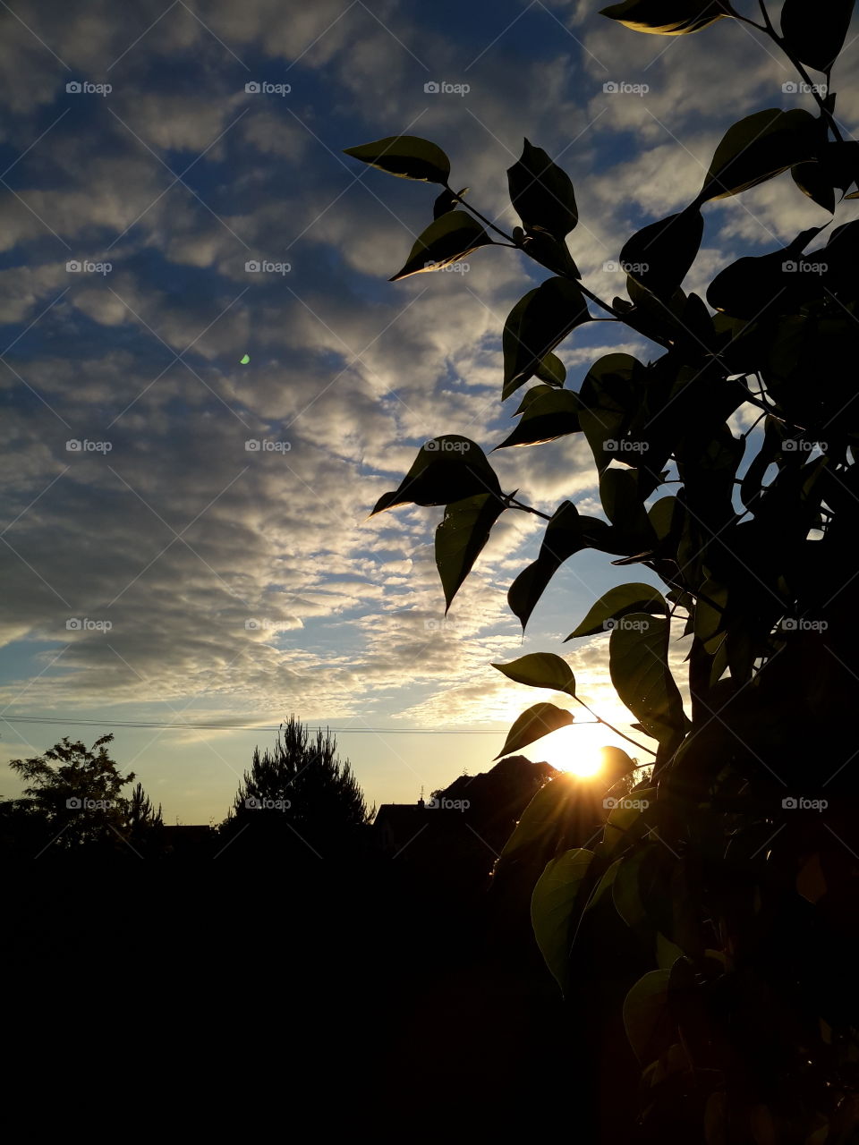 Sunrise in a suburb of Warsaw