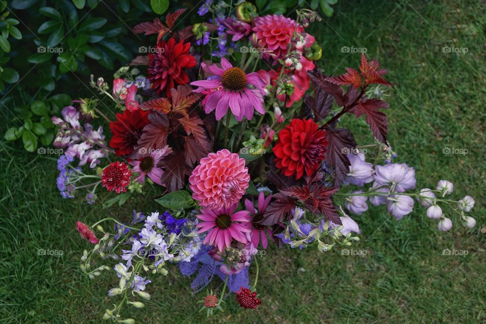 My Beautiful Bouquet

A big thank you for this bouquet Alison I love it 💕

Even more special as you grew all the flowers .. some from seed ... 

Amazing talent 💐