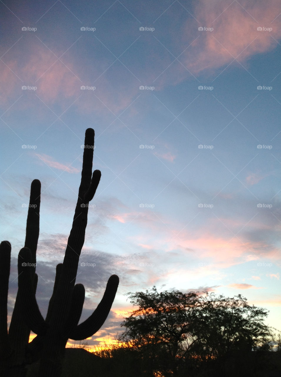 sky sunset clouds cactus by melody