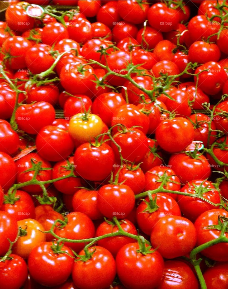 Tomato Vine Tomatoes