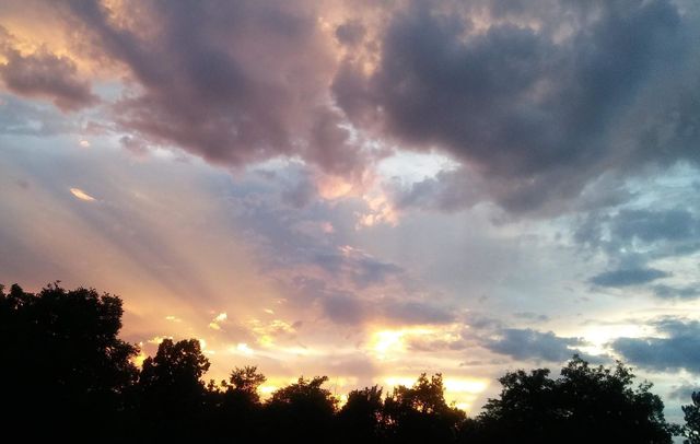 sunray