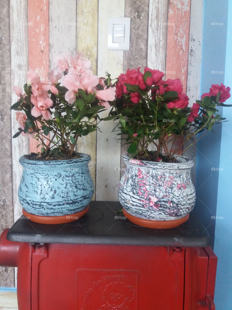 customized flowerpot