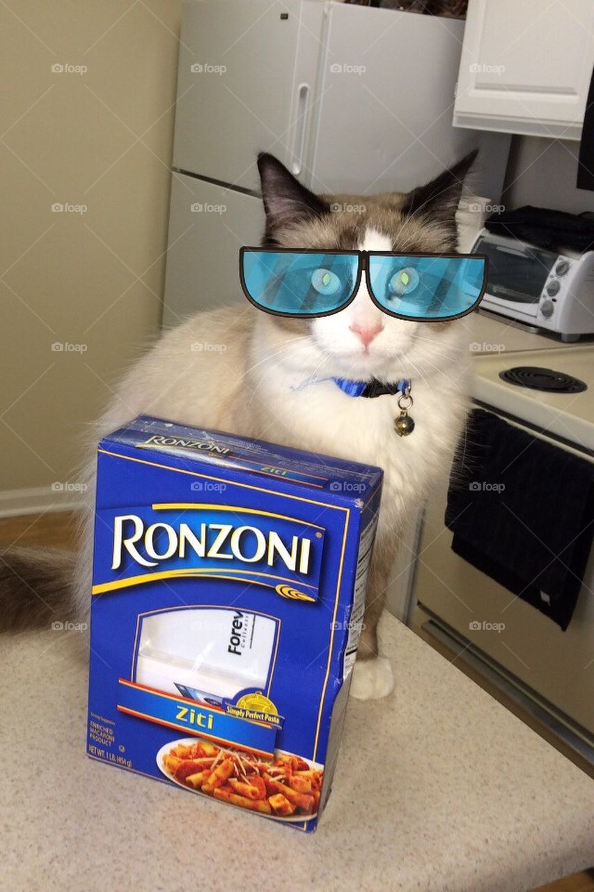 Ronzoni