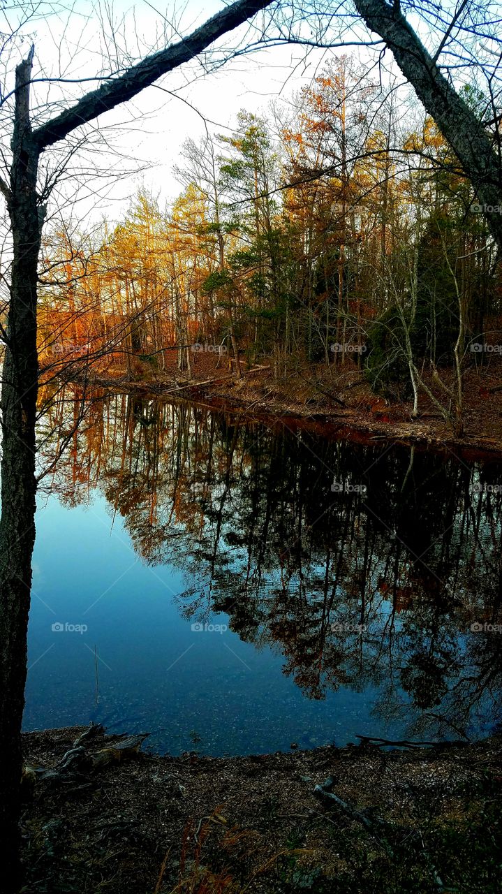 reflections in the morning on the lake