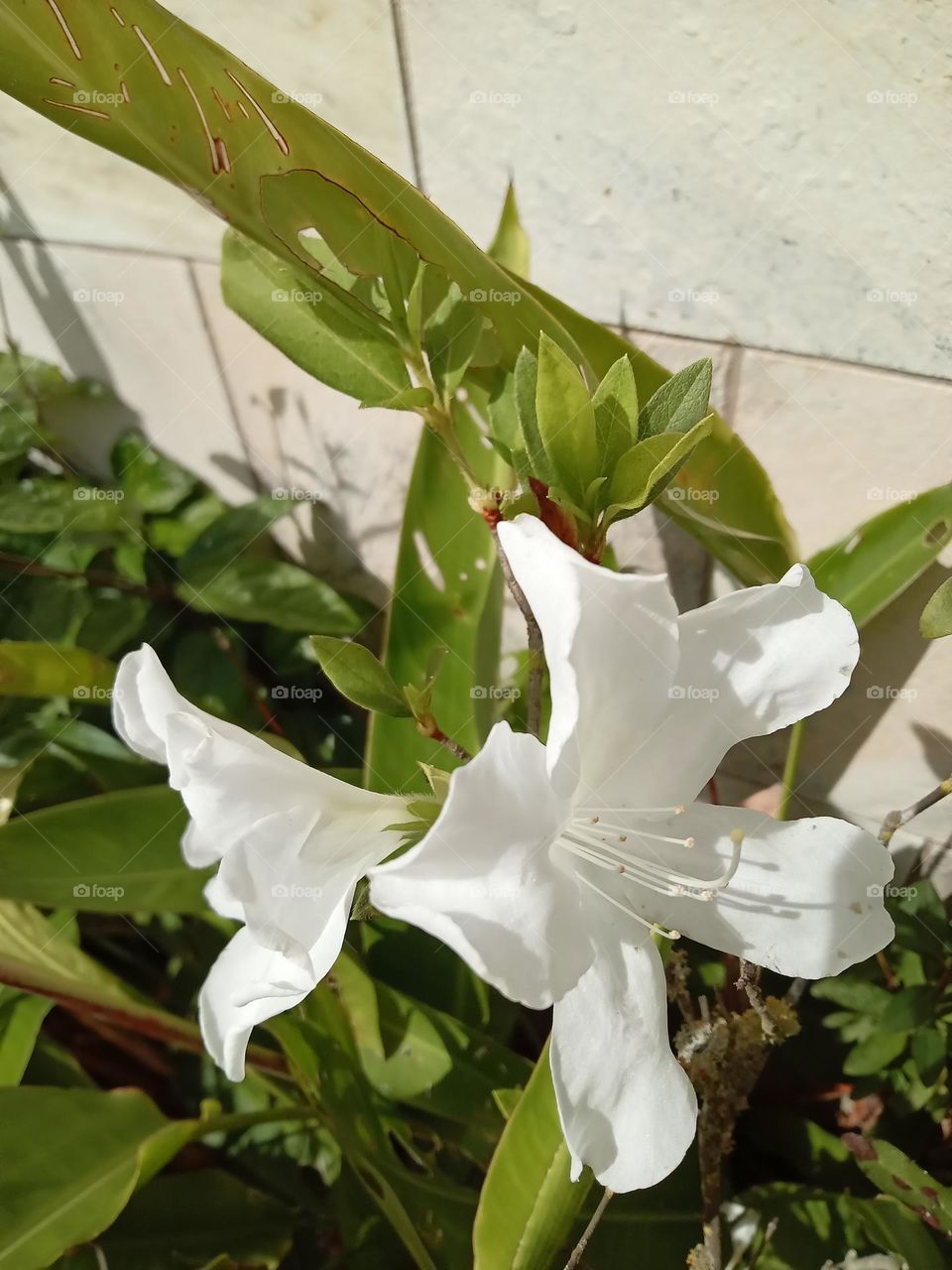 What do you feel when you look at the photo?