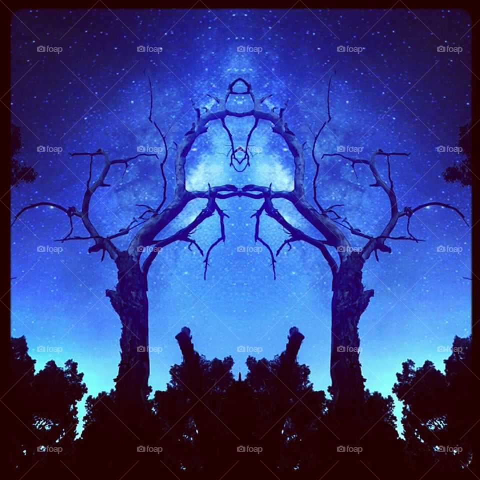 nice tree in shadow makes beautiful lines