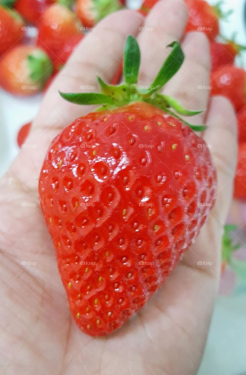 Strawberry