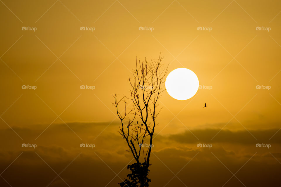 Sunrise in a fairy tale