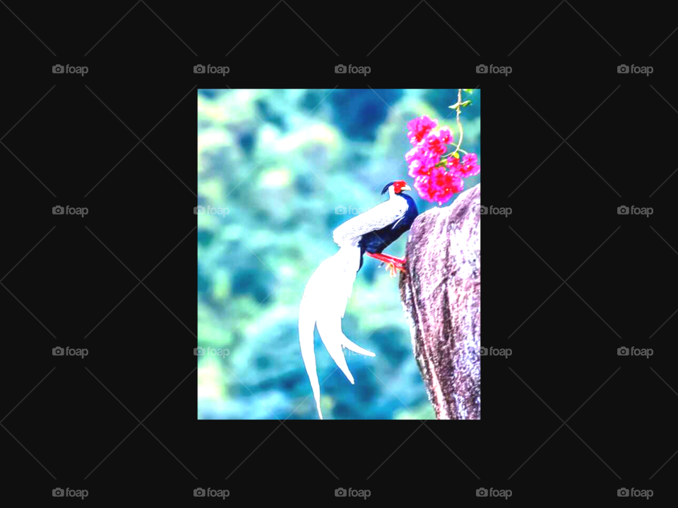 the true colors always match nature