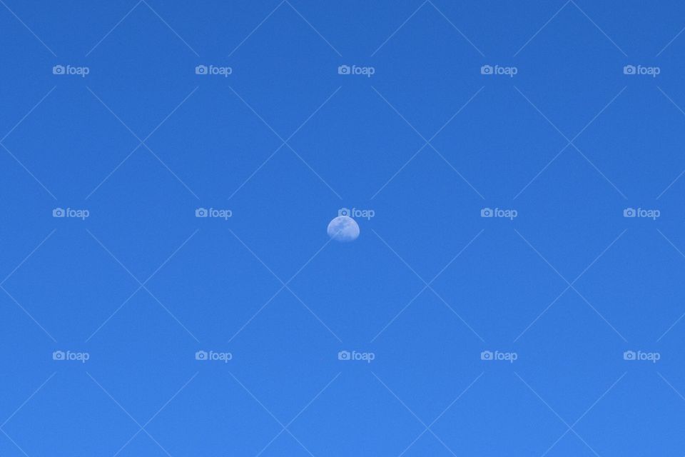 Moonlight within daylight 