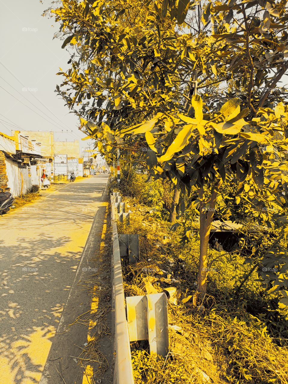 editors' choice: photo of the week