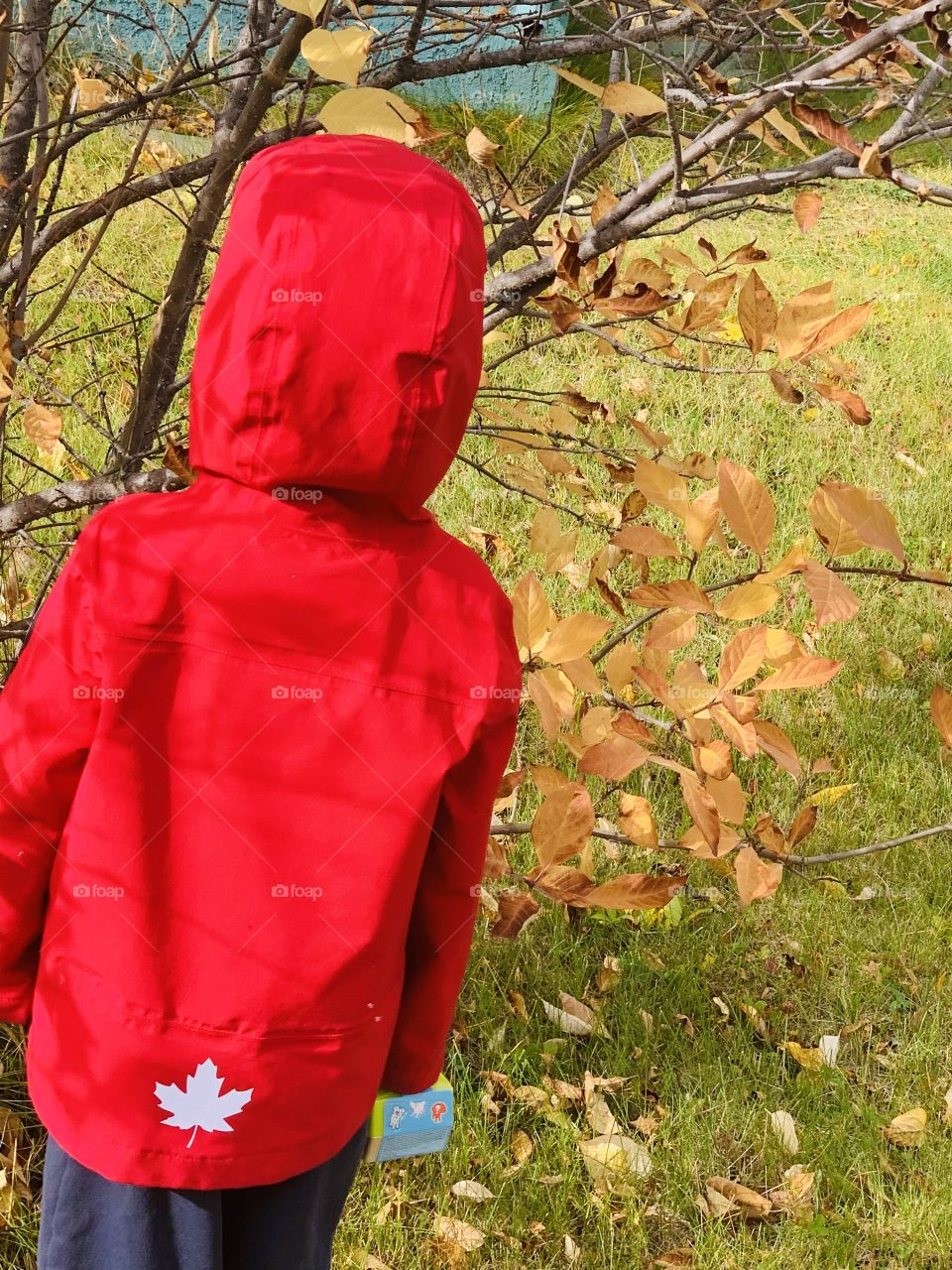 Child in a red jacket 