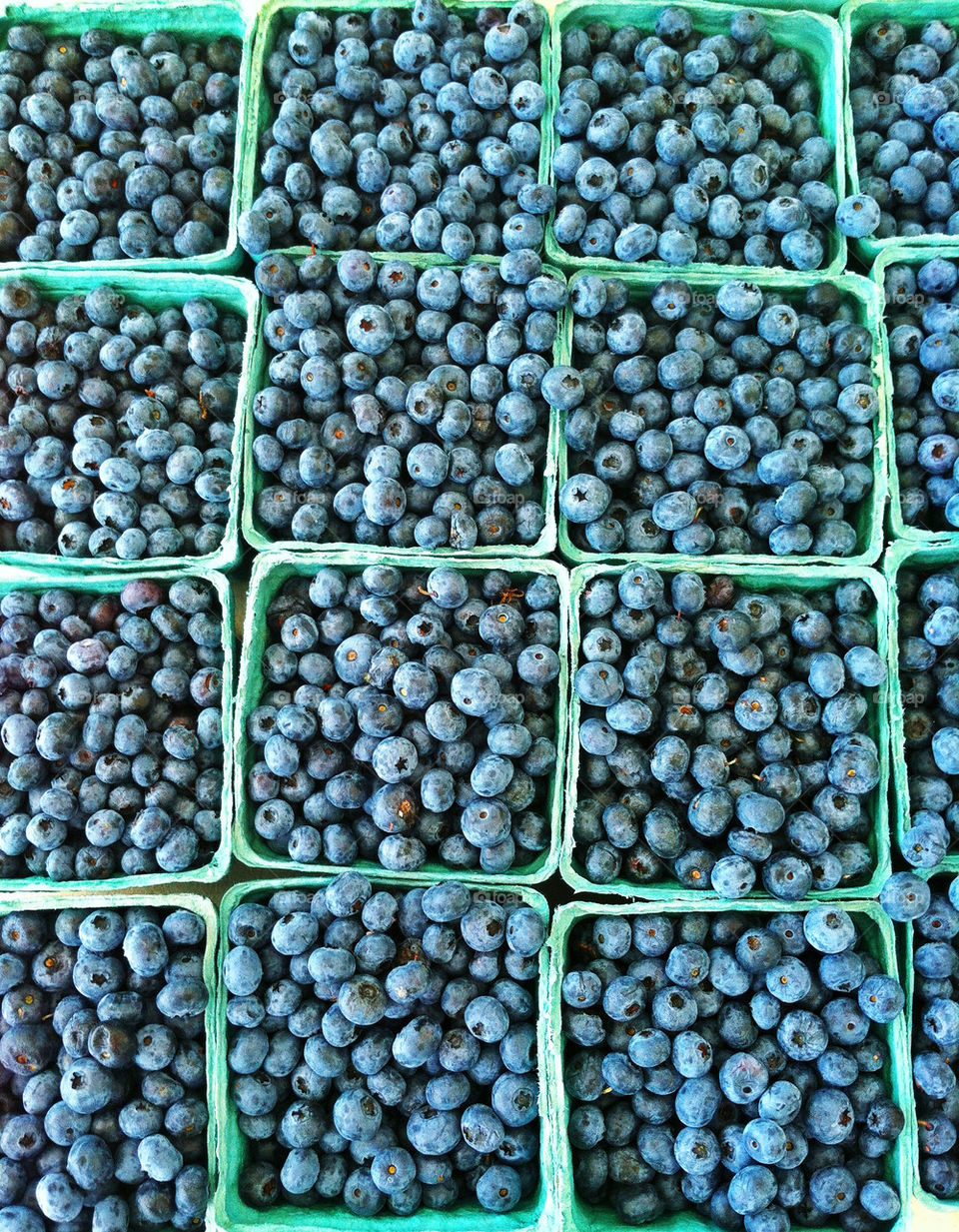 travel summer fruit blueberries by javidog
