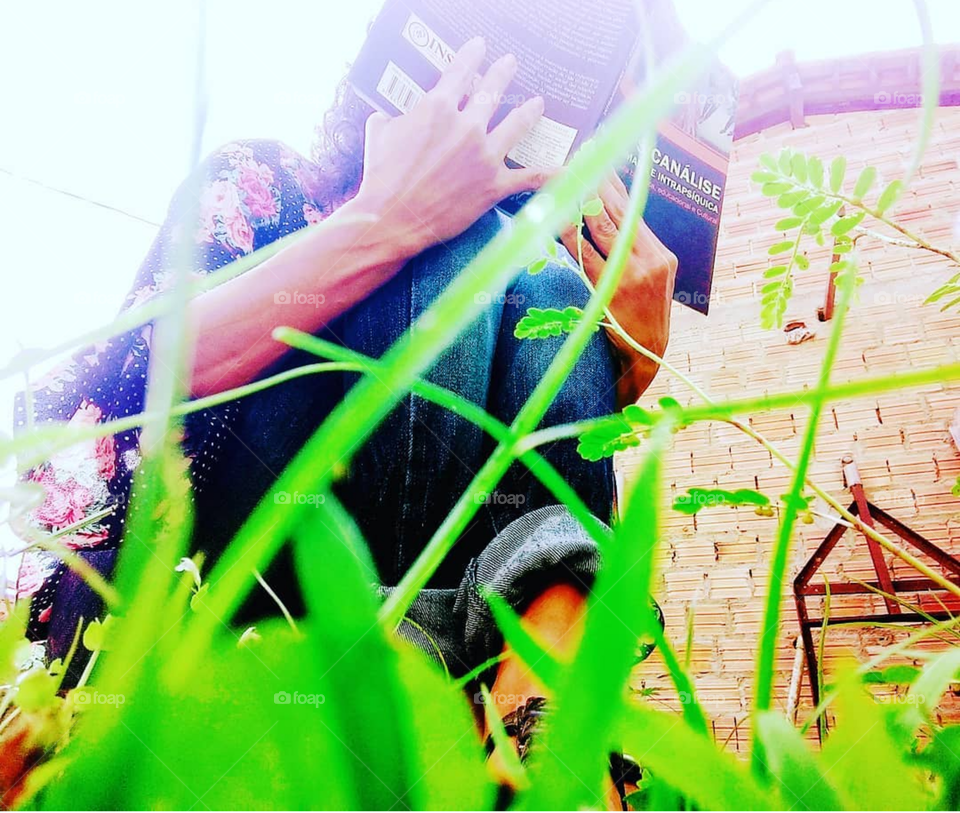 um dia bom para ler na simplicidade da vida.