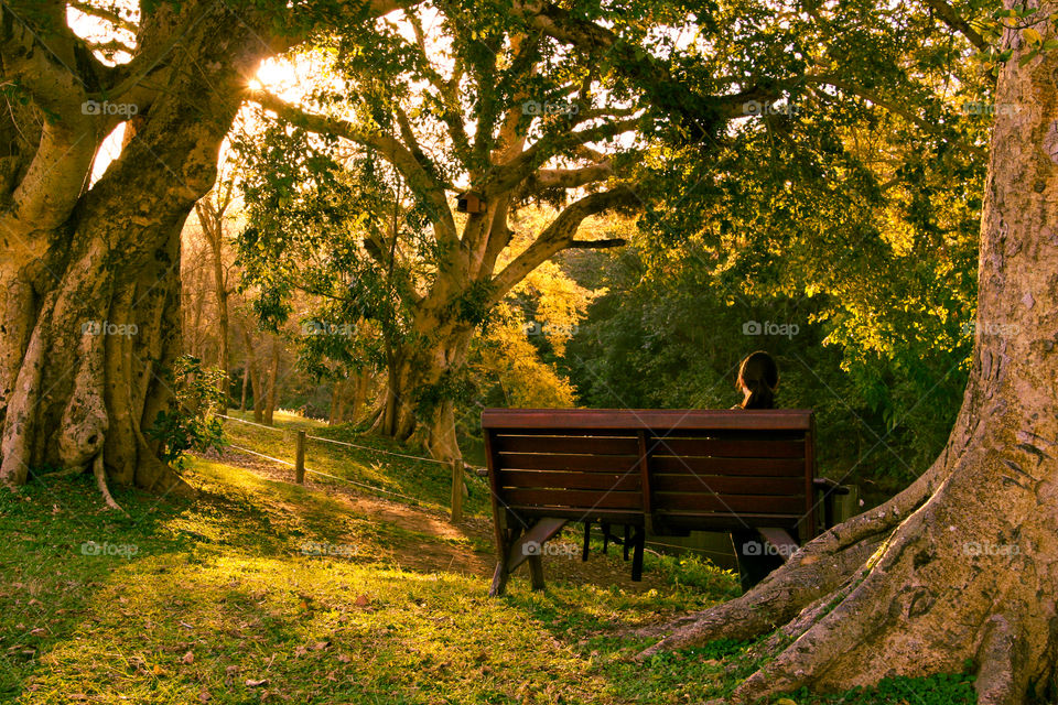 Beautiful sunset - image of woman sitting on a bench with big trees around and enjoying the beautiful sunset