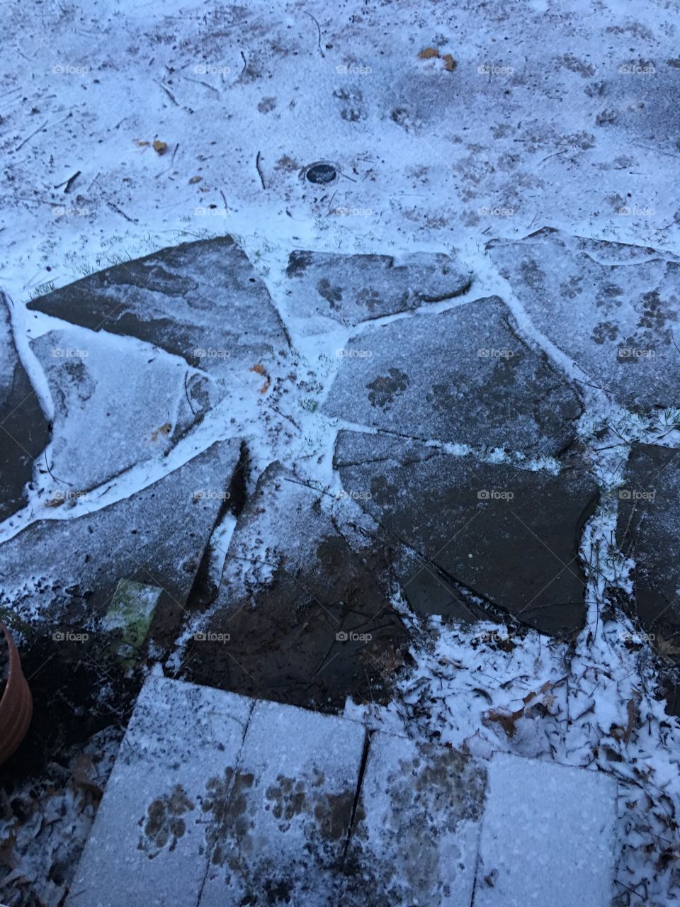 Snowy foot prints on the fresh snow atop the flat rocks leading to my back doorstep.