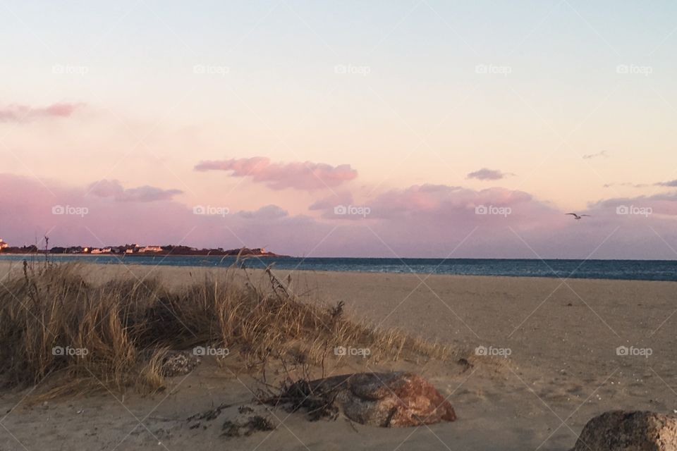 Water, Beach, Landscape, Seashore, Sea