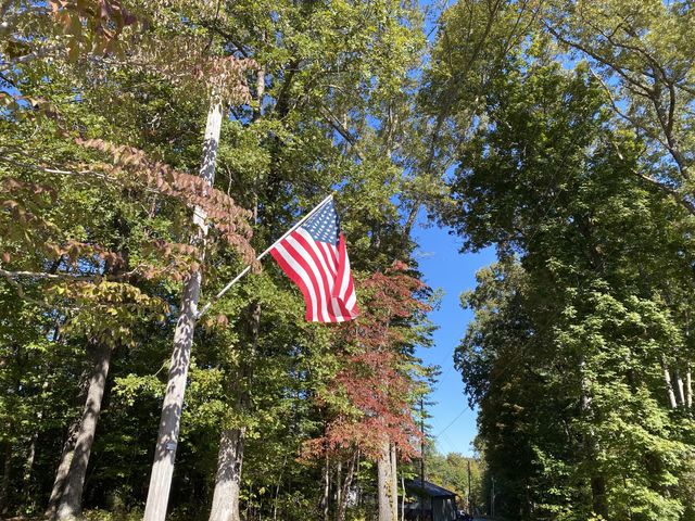 Fall leaves are starting to come in