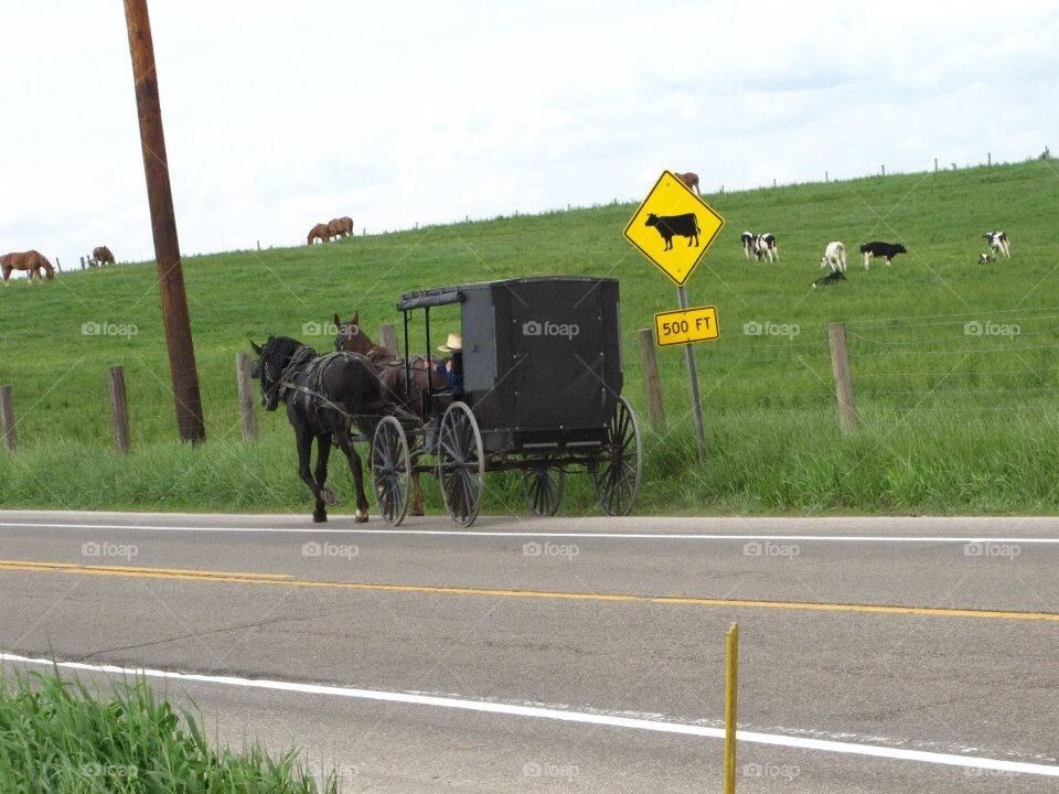 Amish buggie