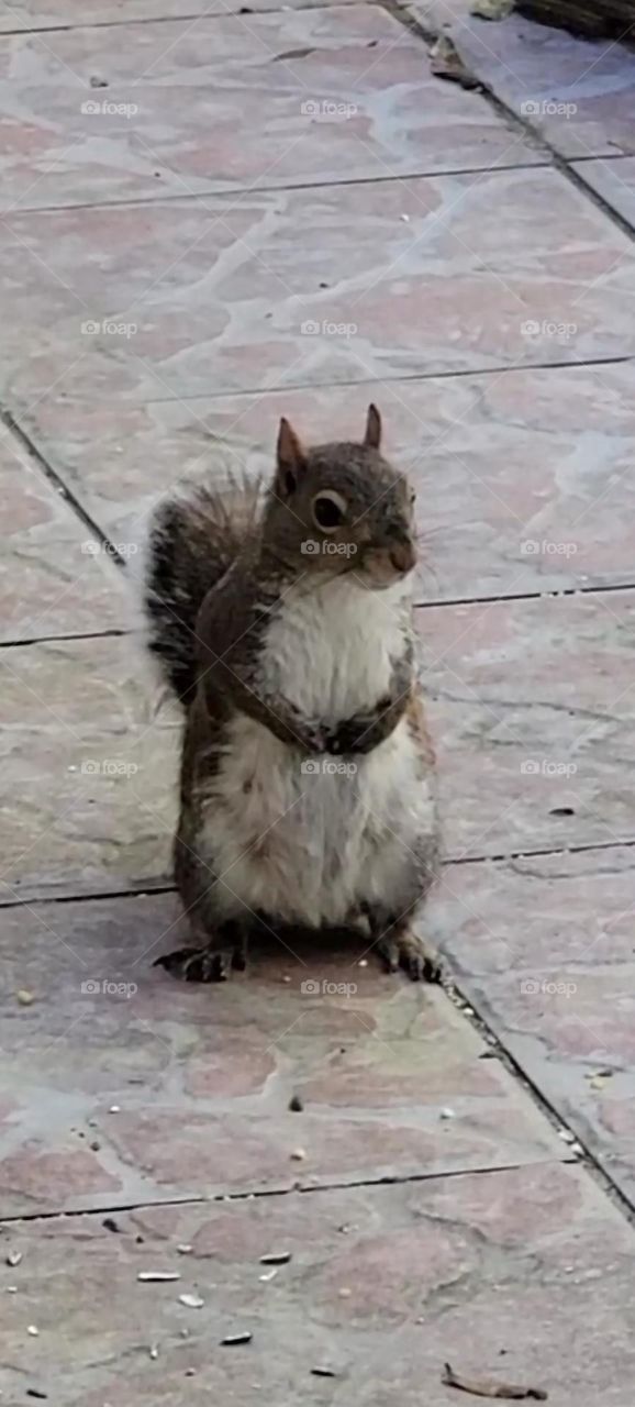 always looking for the handout 🤣