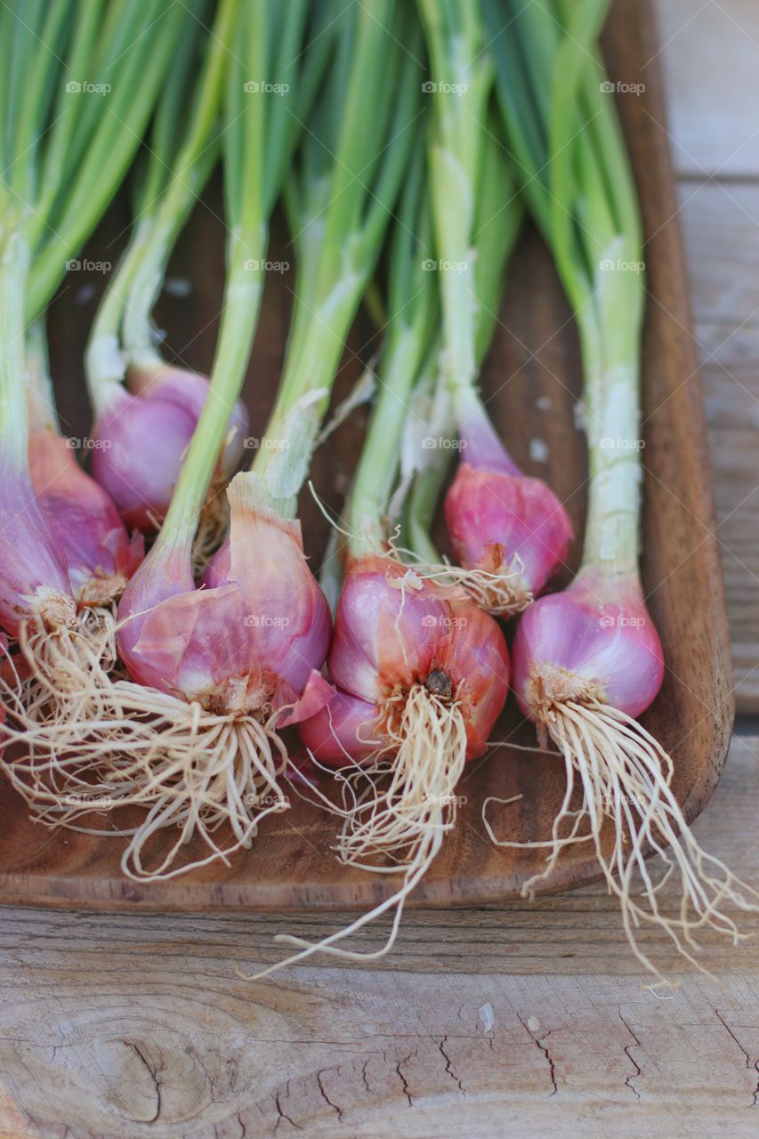 Shallots