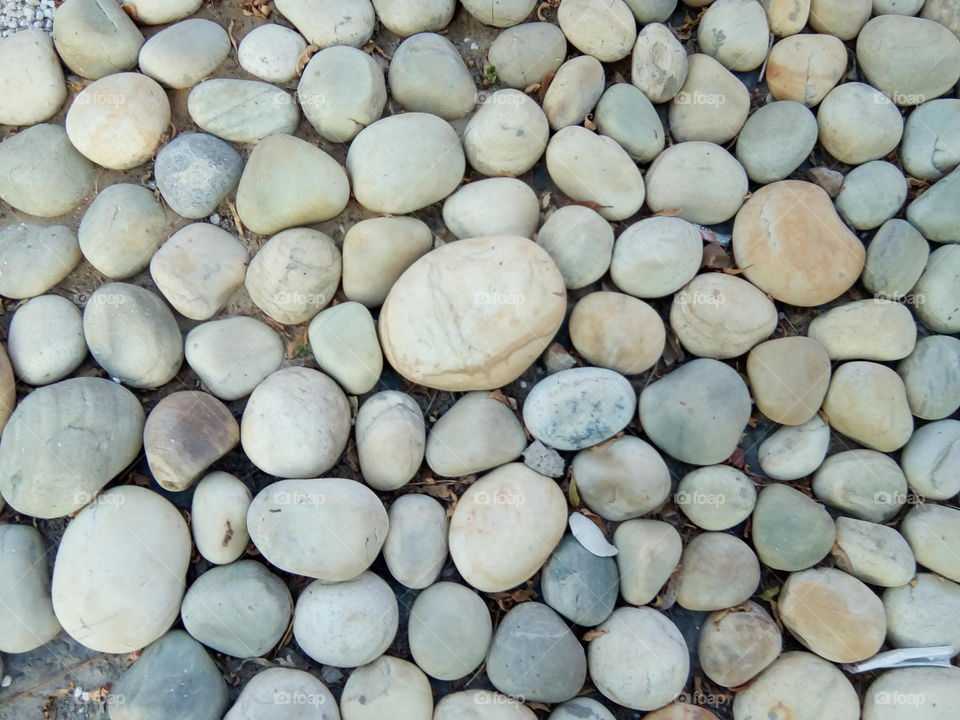 beautiful rocks in a garden